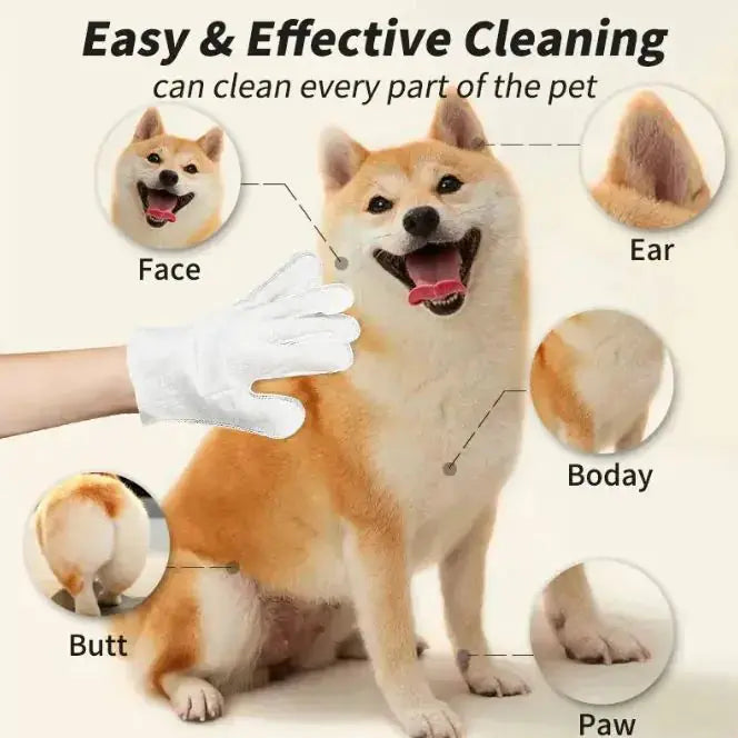 Pet Cleaning Gloves & Wipes - King's creation Pet Cleaning Gloves & Wipes